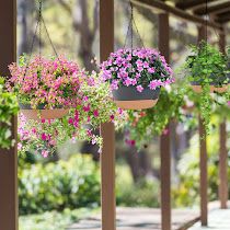 4Pcs 9.64In Diameter Hanging Planter With Drainage Holes Removable Self-Watering Tray Plastic Hanging Flower Plant Pots For Indoor Outdoor Herb I (Option: AS PIC)